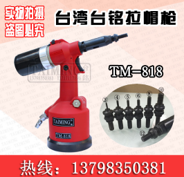 供TAIMING台铭TM-818全自动拉帽枪液压式铆螺母