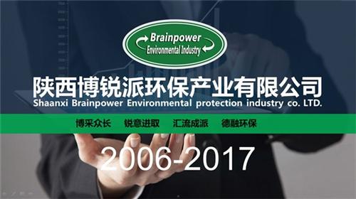 加药消毒装置_新疆加药消毒_博锐派(查看  加药消毒设备厂家