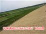 环保椰丝毯，椰纤维植被毯适用于河堤即公路两侧施工
