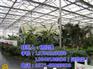 郑州玻璃温室厂家,郑州玻璃温室,【欣荣温