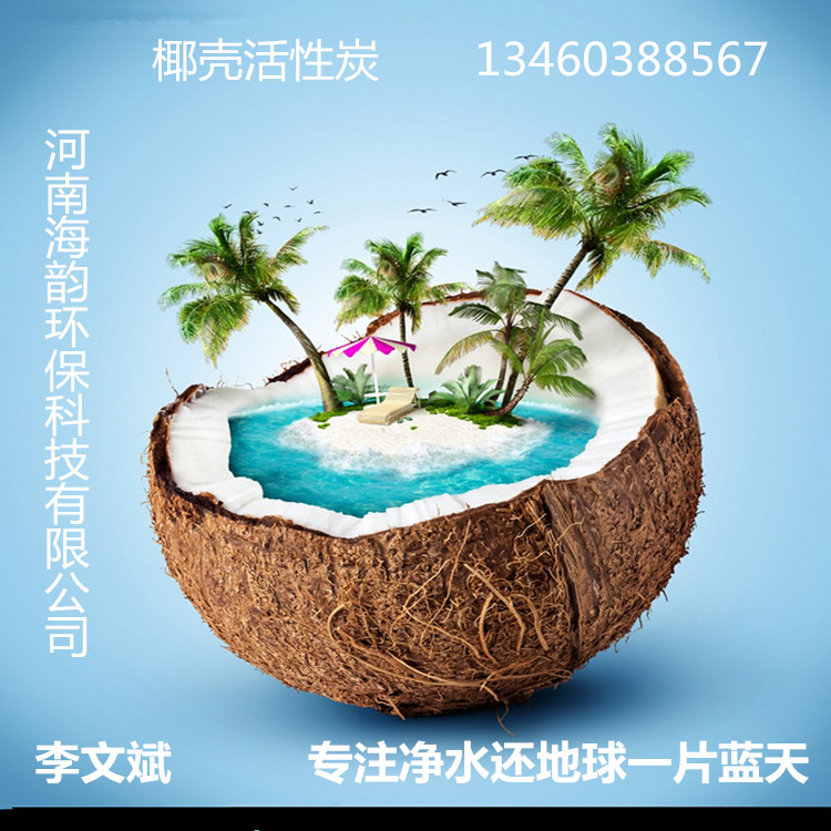 大连颗粒片状椰壳活性炭今日报价//