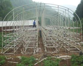 农业大棚建设_蔬菜大棚建造找广西融通四海&nbsp;&nbsp;广西大棚&nbsp;&nbsp;广西农业大棚