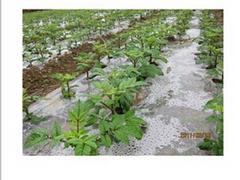 地膜赓坤塑料专业供应 生产地膜  山东地膜  山东地膜销售