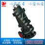 50WQ40-15防缠绕排污泵_潜水管道排污泵规格型号