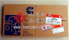 武汉燃油系统（陕汽/福田）ISM11燃油泵3417674