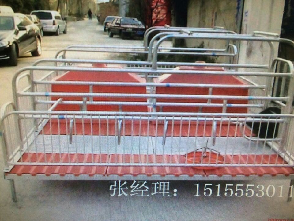 供应淮北销量领先的母猪产床，新型母猪定位  母猪限位栏  母猪定位栏