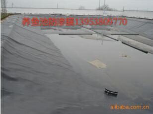好用的养殖膜当选泰安市厚鑫土工材料——养 养殖膜厂家 养殖膜价格
