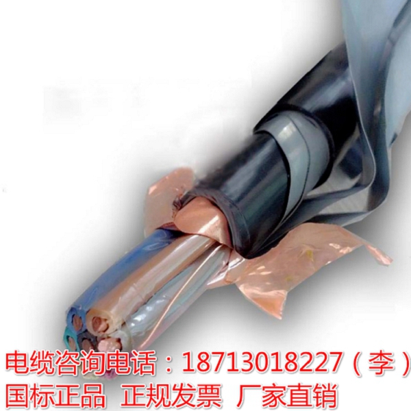NH-KVFP-22耐热控制电缆24*0.75图片