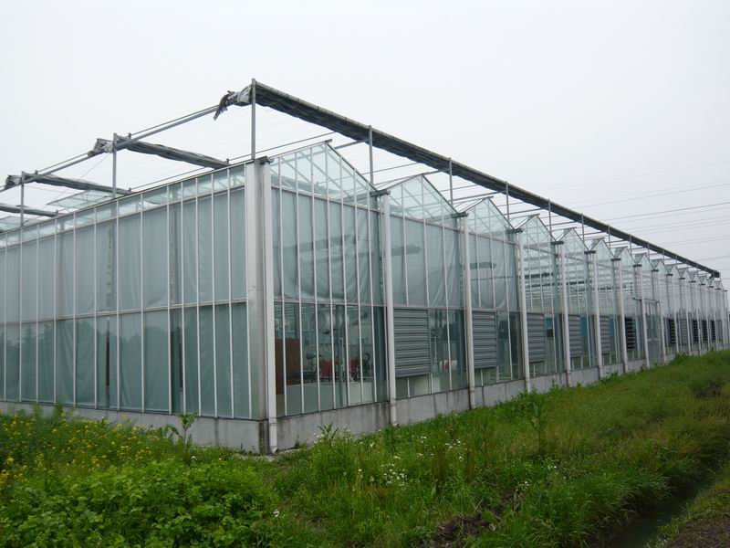 文洛式玻璃温室建造//球形大棚设计@盛腾