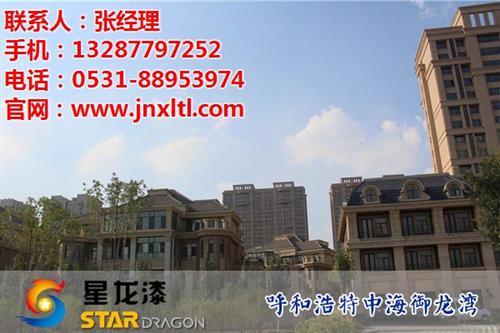 岩片漆_星龙漆_岩片漆生产厂家哪里有  济南岩片漆