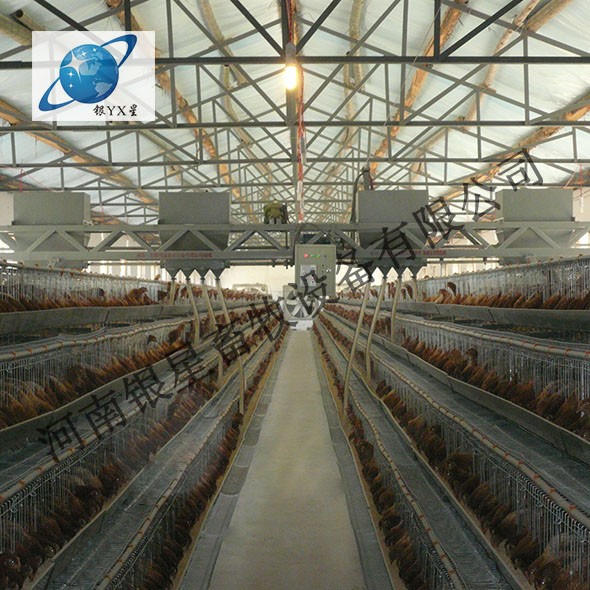 河南新型立式鸡笼供应电话丨家用育雏鸡笼设备公司  蛋鸡笼厂家地址  河南鸡笼设备规格  蛋鸡笼厂家直销