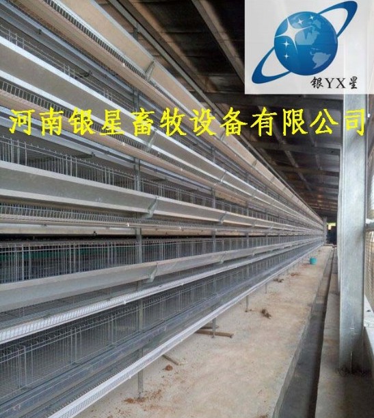 河南家用立式鸡笼维修公司丨优质育雏鸡笼设备款式  河南鸡笼公司地址  河南鸡笼设备规格  蛋鸡笼厂家地址