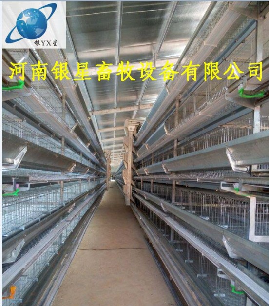 河南家用立式鸡笼专业销售丨优质育雏鸡笼售后地址  蛋鸡笼厂家地址  河南鸡笼设备规格  蛋鸡笼厂家直销