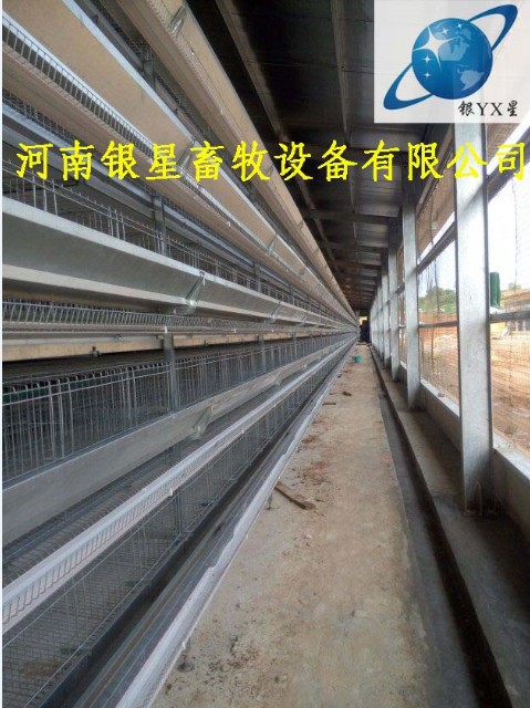 河南家用立式鸡笼供货市场丨优质育雏鸡笼售后地址  河南鸡笼批发厂家  河南鸡笼设备规格  河南鸡笼公司电话