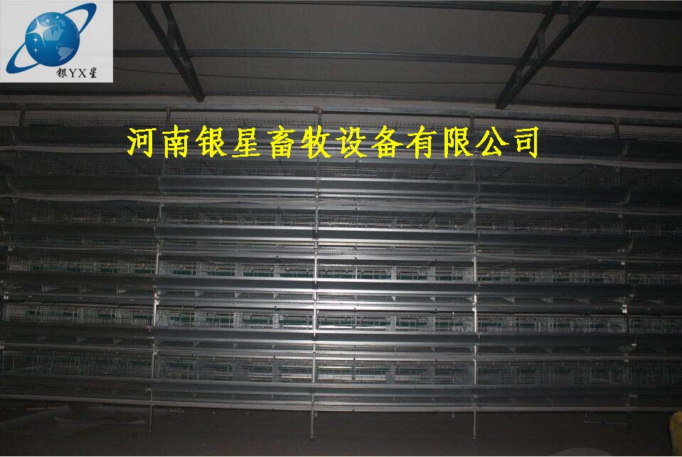 河南家用立式鸡笼厂家定制丨优质育雏鸡笼供应电话  蛋鸡笼公司批发  河南鸡笼设备规格  蛋鸡笼公司维修