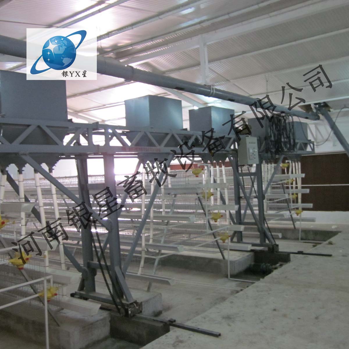河南新型立式鸡笼定做价格丨家用育雏鸡笼批发规格  蛋鸡笼批发地址  蛋鸡笼设备售后  蛋鸡笼厂家规格