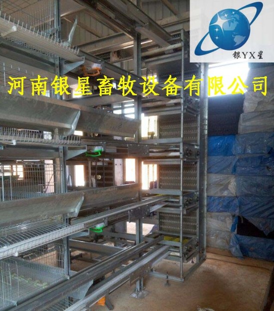 河南家用立式鸡笼团购电话丨优质育雏鸡笼市场价格  蛋鸡笼维修地址  河南鸡笼设备规格  蛋鸡笼厂家直销