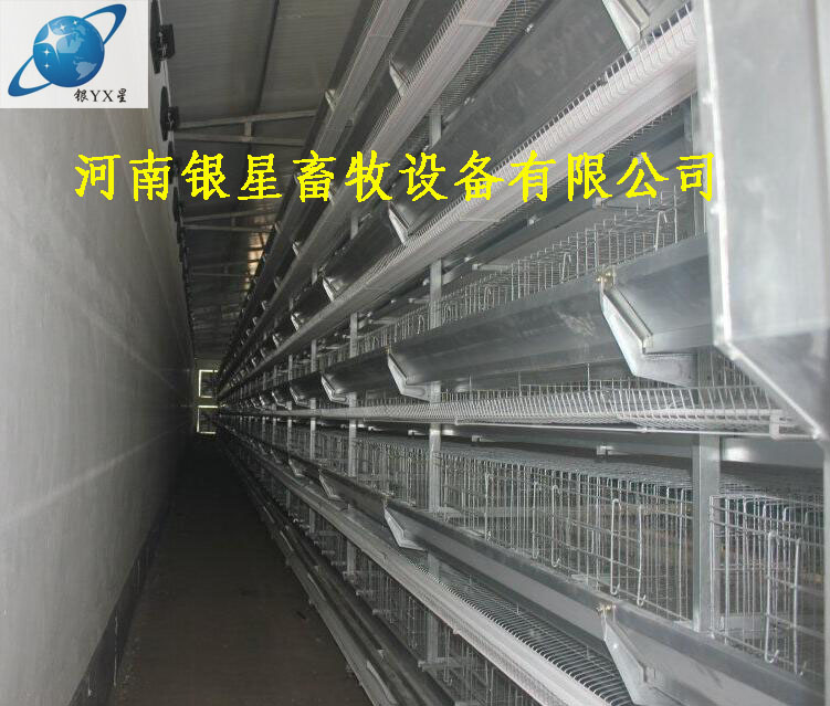 河南家用立式鸡笼团购厂家丨优质育雏鸡笼批发电话  河南鸡笼维修厂家  河南鸡笼批发电话  河南鸡笼公司规格
