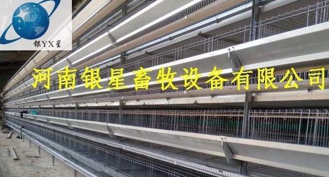 河南家用立式鸡笼产品规格丨优质育雏鸡笼维修公司  蛋鸡笼公司批发  河南鸡笼设备规格  河南鸡笼厂家电话