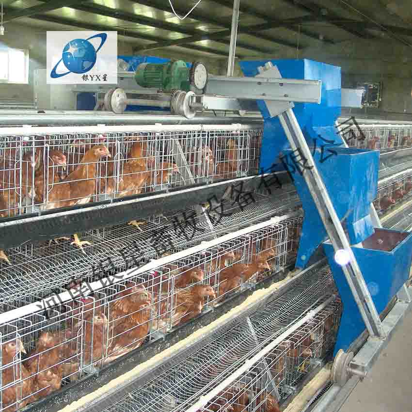河南新型立式鸡笼维修厂家丨家用育雏鸡笼供货地址  蛋鸡笼公司批发  蛋鸡笼设备规格  蛋鸡笼厂家地址