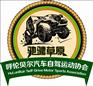 具有价值的呼伦贝尔汽车自驾运动协会，呼伦