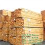 江苏樟子松方木加工|方木|友联木业(图)