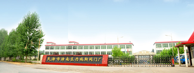 天津市津南区丹瑞斯阀门加工厂