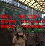 2018上海第14届国际建筑胶粘剂展览会-新春特惠