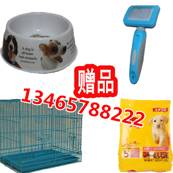 淇滨苏联红养殖场多少钱怎样