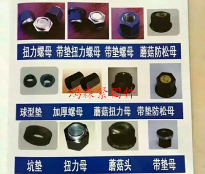 鸿森紧固件——畅销河北扭力母大全提供商_&nbsp;&nbsp;河北矿用螺母&nbsp;&nbsp;价格优惠的扭力母
