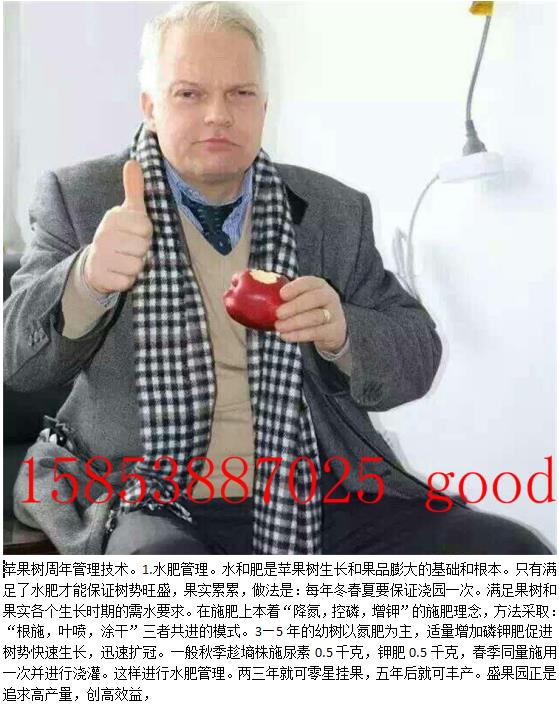 甘肃白银红心的苹果树苗产品介绍