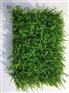 四川仿真植物广告牌|选购仿真植物广告牌就