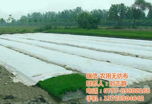 瑞信无纺布有限公司|瑞信|瑞信农用无纺布  瑞信农用膜农用无  瑞信农用无纺布价