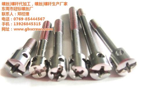 马达用铅封螺丝、铅封螺丝生产冠标螺丝、铅  电表铅封螺丝  铅封螺丝加工