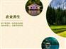 海南庄园——海南众善养生庄园公司