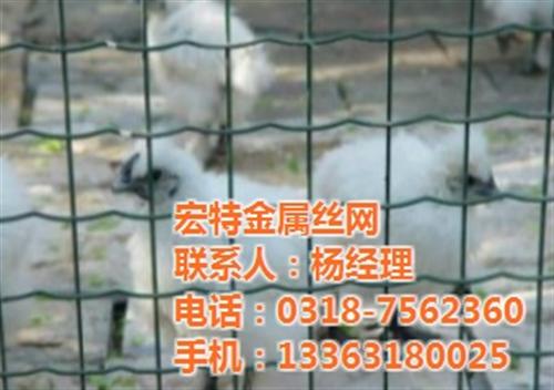 小区铁丝网围栏_铁丝网围栏_优质铁丝网( 铁丝网围栏厂家 圈地铁丝网围栏