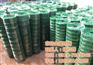 批发荷兰网|荷兰网|果园用荷兰网