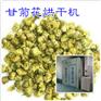 野菊花烘干机 热泵野菊花烘干设备 厂家定做野菊花烘干机