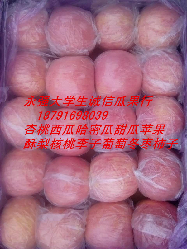 陕西冰糖心红富士苹果批发红富士苹果产地批发  冰糖心苹果产地价格  高山红富士苹果