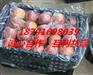 陕西冰糖心红富士苹果批发红富士苹果产地批发