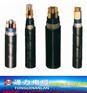 合水县YJV电缆_YJV电缆5*16_陕