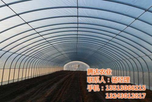 阳光板温室大棚|腾达农业|专业制造温室大  阳光板温室大棚建  专业的温室大棚厂  日光温室大棚建设