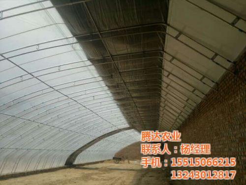 温室大棚|腾达农业|阳光温室大棚  嘉兴花卉温室大棚  东北温室大棚  塑料温室大棚