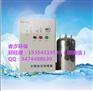 淄博水箱臭氧自洁消毒器设计