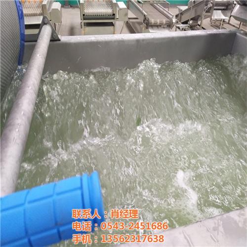 日照蔬菜清洗机_汇尔宝_蔬菜清洗机哪家设 蔬菜清洗机价格 蔬菜清洗机尺寸