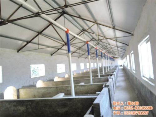 自动化养猪设备|养猪设备|青驰源(多图) 青州养猪设备