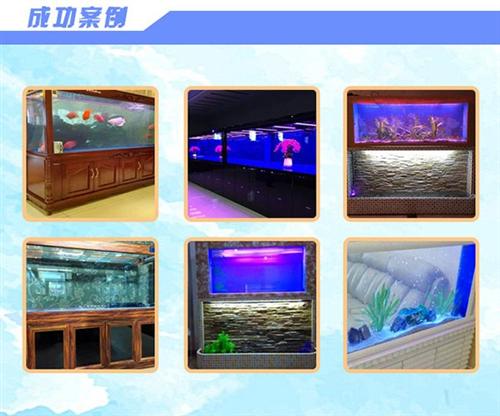做大型鱼缸|大型鱼缸|海之星水族公司(查  大型鱼缸设计  大型鱼缸订做
