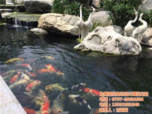 深圳庭院鱼池设计|家庭鱼池设计|金碧林(  清远假山鱼池设计  茂名锦鲤鱼池设计