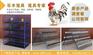 天津鸡笼,乐丰笼具,自动化养鸡笼
