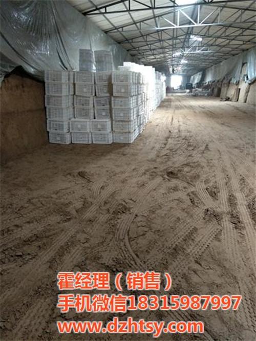 烟薯25、禾田薯业、烟薯25秧苗培育&nbsp;&nbsp;谁有烟薯25秧苗&nbsp;&nbsp;烟薯25秧苗订购